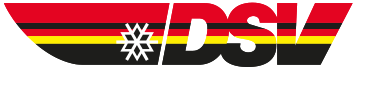 DSV Logo Retina